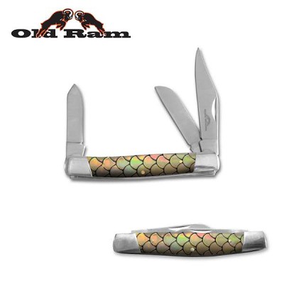 Old Ram - 3 Bladed Manual Folding Knife 6 Inch